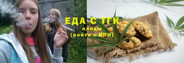 мдпв Елабуга